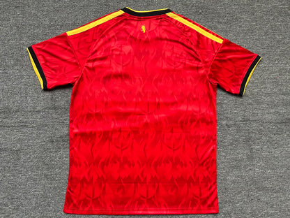Belgium 2026 World Cup Home